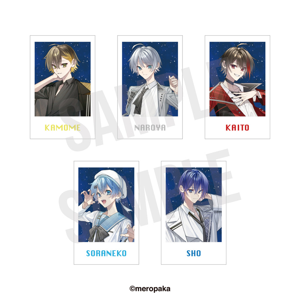 数量限定】ランダムチェキ風カード 2025年ぱーかー ver. – めろぱか